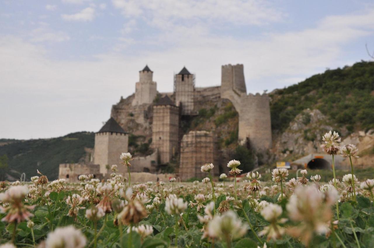 Stara Kovacnica Villa Golubac Luaran gambar