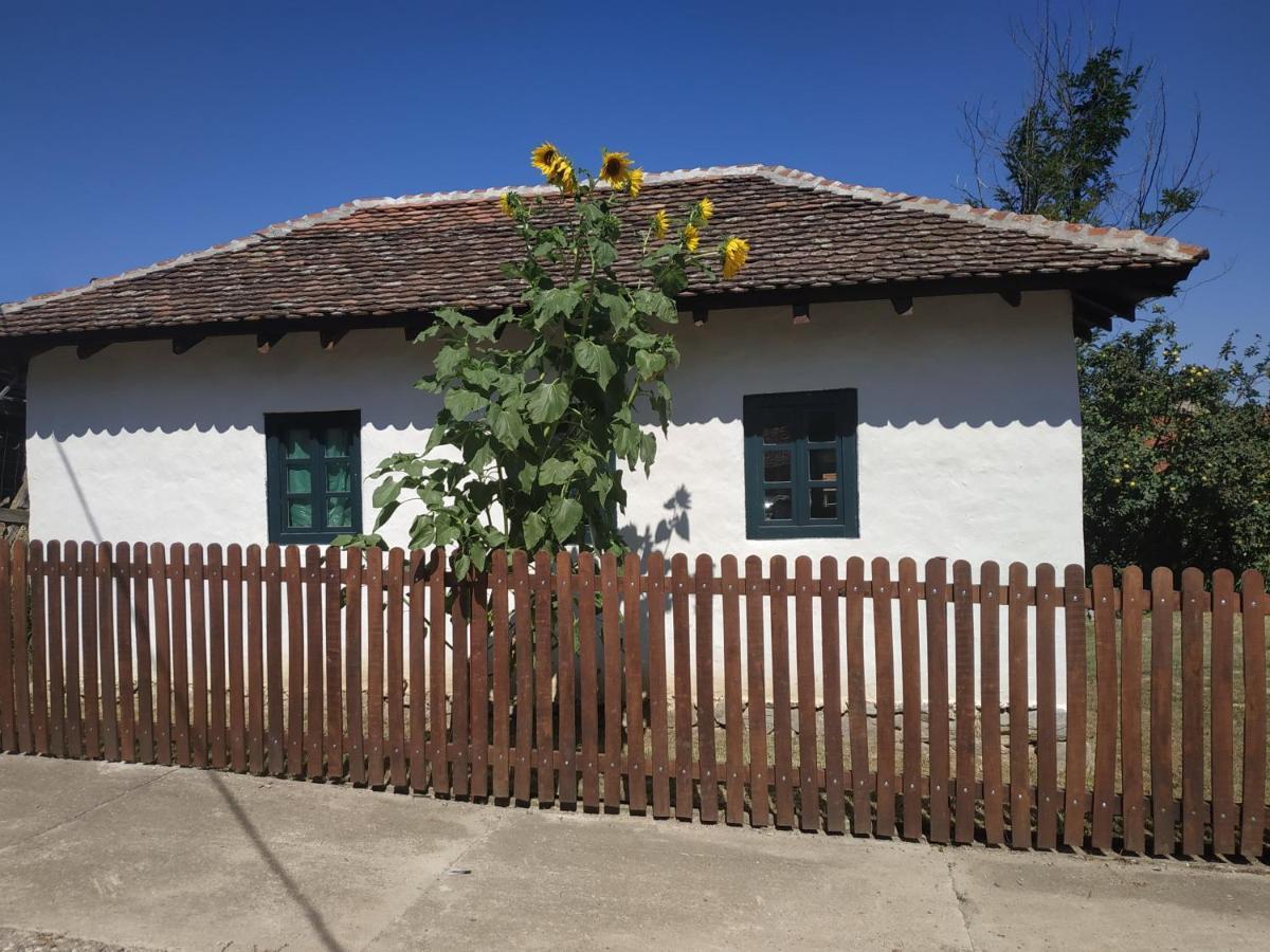 Stara Kovacnica Villa Golubac Luaran gambar