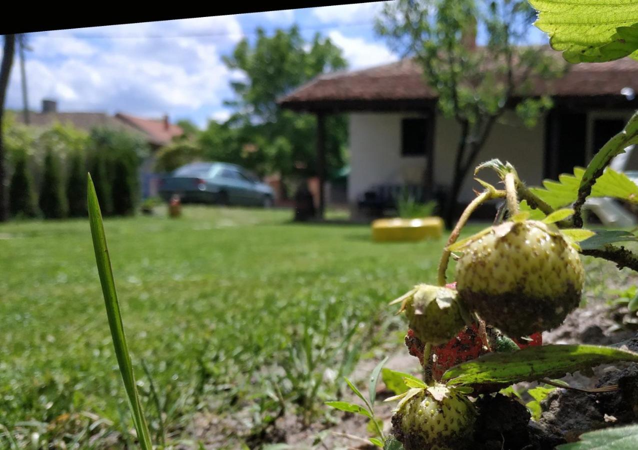 Stara Kovacnica Villa Golubac Luaran gambar