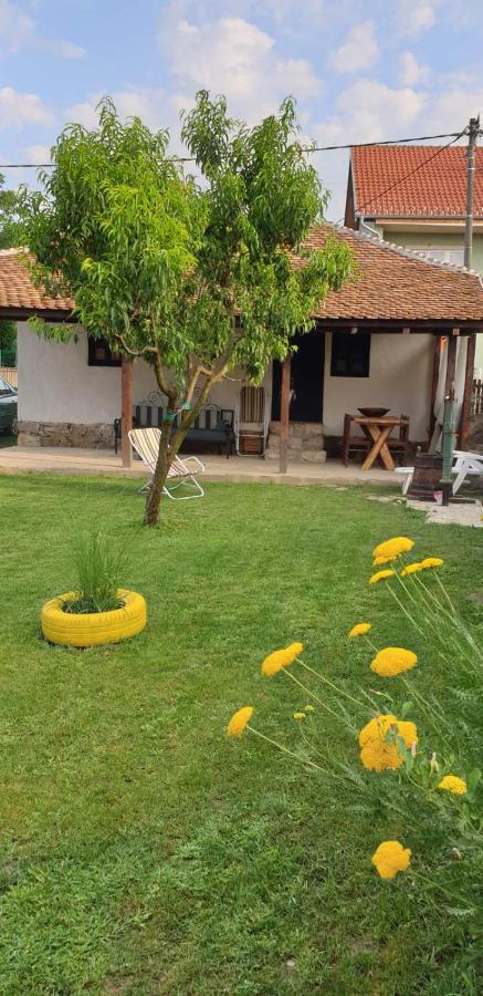 Stara Kovacnica Villa Golubac Luaran gambar